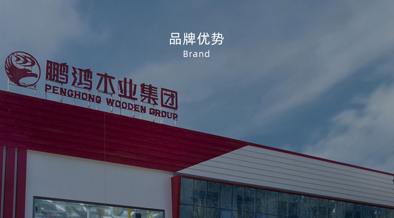 板材品牌、、、全屋定制品牌、、、生态板十大品牌